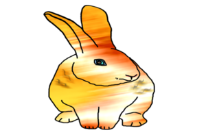 icon bunny rabbit png