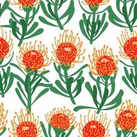 Floral seamless pattern with hand drawn protea flowers. Botanical decorative background vector