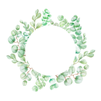 aquarelle illustration rond Cadre avec feuilles et verdure de eucalyptus png