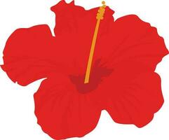 red poppy flower. Hibiscus flower isolated on white background. Vector illustration.