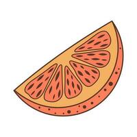 Slice of orange fruit. Hand drawn illustration in doodle style. vector