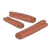 Cinnamon sticks. Hand drawn illustration in doodle style. vector