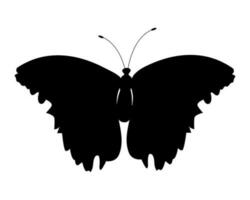 Butterfly black silhouette. Butterfly icon isolated on white background. vector