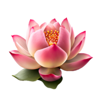 ai generativo rosado loto flor ilustración png