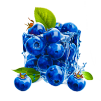 Blueberry in juice splash pure png