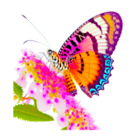 ai generativo vistoso mariposa png transparente