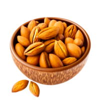 Almonds on bowl illustration png
