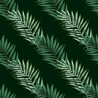 Abstract exotic plant seamless pattern. Tropical palm leaves pattern. Fern leaf wallpaper. Botanical texture. Floral background. vector
