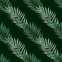 Abstract exotic plant seamless pattern. Tropical palm leaves pattern. Fern leaf wallpaper. Botanical texture. Floral background. vector