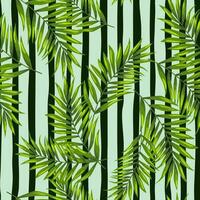 Abstract exotic plant seamless pattern. Tropical palm leaves pattern. Fern leaf wallpaper. Botanical texture. Floral background. vector