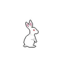 white rabbit in pixel art style vector