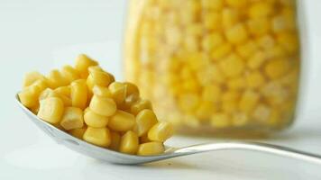 canned sweet corn on a silver spoon on white background video