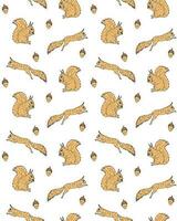 Seamless pattern of hand drawn squirrel vector