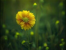 foto primavera paisaje cierne campo con verde césped y amarillo flores azul cielo ai generativo