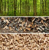 Wood pellets production photo