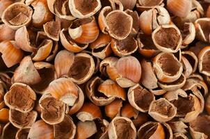 Nut shells background. photo