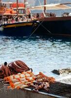 pulpo en playa en Grecia foto