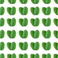 Seamless pattern with green leaves on a white background vector