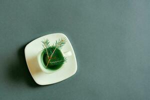 Small fresh branch of live spruce in a coffee cup on a green background. Green concept. Top view. Copy space photo