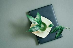 Fresh live leaves in a coffee cup on a book on a green background. Green concept. Top view. Copy space photo