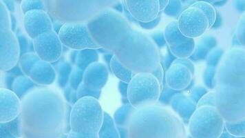 ampla grupos do germes com azul fundo, 3d Renderização video