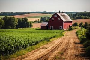 campos con un rojo granero en el Hora de verano campo campo ajuste granja construcción granja educación. ai generado foto