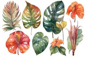 Collection of watercolor wild tropical leaves and flowers jungle plant leaves isolated on white background monstera hibiscus flower calla lily strelizia watercolor botanical illustration. photo