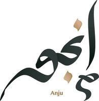 Anju name word Arabic calligraphy modern style artistic freeform vector