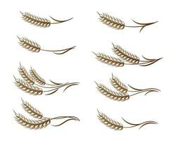 Set of logos from spikelets of wheat, rye, barley, golden design. Decor elements, icons, vector