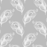 Seamless pattern, hand drawn white peacock feathers on a gray background. Background, print, elegant textile, vector