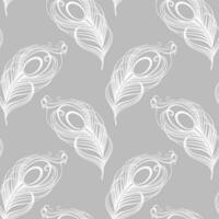 Seamless pattern, hand drawn white peacock feathers on a gray background. Background, print, elegant textile, vector