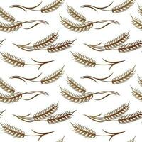 Seamless pattern, bouquets of spikelets of wheat, rye, barley, golden ears on a white background. Background, print, textile, vector