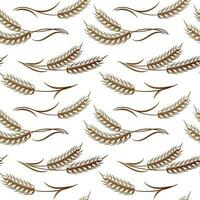 Seamless pattern, bouquets of spikelets of wheat, rye, barley, golden ears on a white background. Background, print, textile, vector