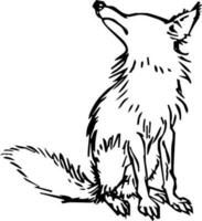 Vector silhouette of fox on white background