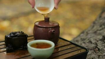 tea lover pours hot tea from a bowl on a clay teapot video