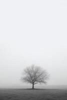 un solitario árbol soportes solo en un brumoso campo con Copiar espacio para texto. ai generado foto