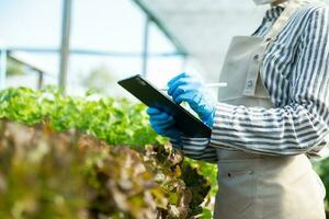 Farmer woman using digital tablet computer in field, technology application in agricultural growing activity, photo