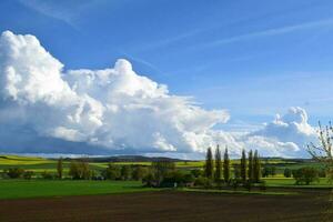 White Clouds above Wet Spring Landscape photo