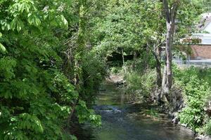 Idyllic little River photo