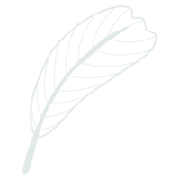 Line art leaf png