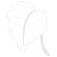 Line art leaf png