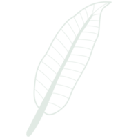 Line art leaf png