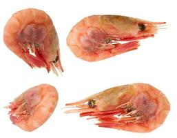 Boiled shrimp on a white isolated background photo