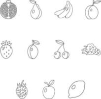 A set of fruits for decoration. vector
