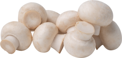 button mushroom cut out on transparent background. png