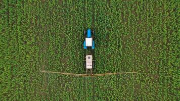 Tractor sprays fertilizer on agricultural plants on the rapeseed field, top view from height video