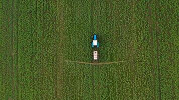 tractor aerosoles fertilizante en agrícola plantas en el colza campo, parte superior ver desde altura video