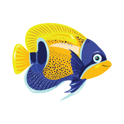 Fish PNGs for Free Download