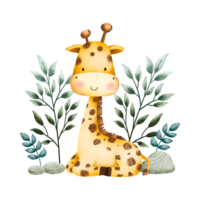 gracioso dibujos animados jirafa ilustración png