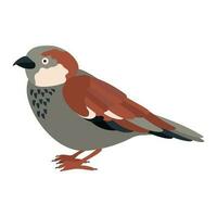 Cute, cartoon sparrow bird. Flat vector illustration.